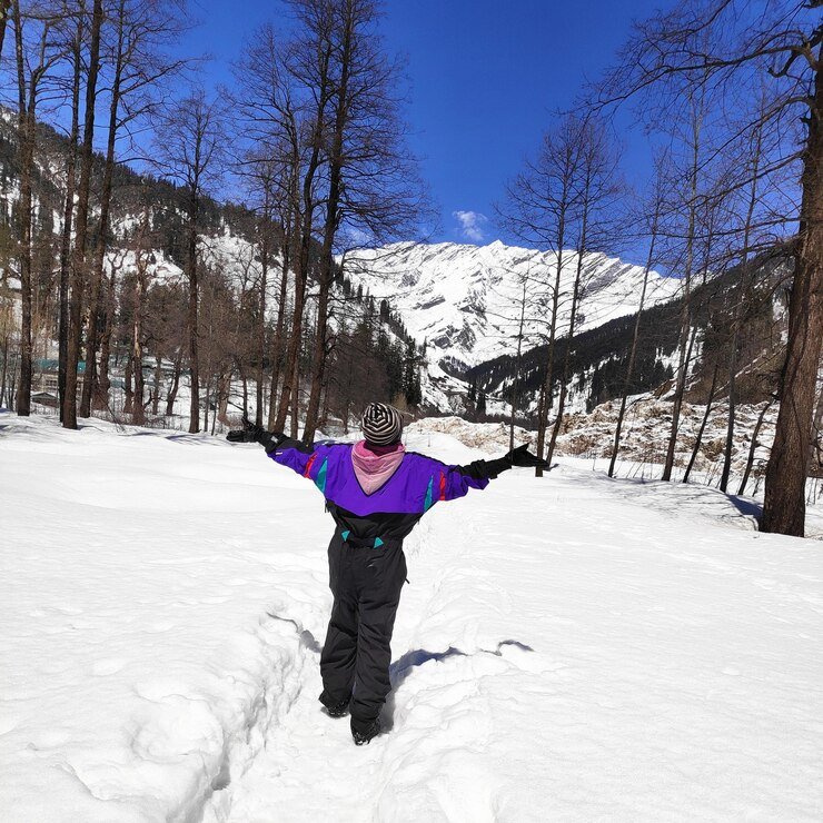 Daksh Tour and Travel Agency | Expert Trip Planning & Services